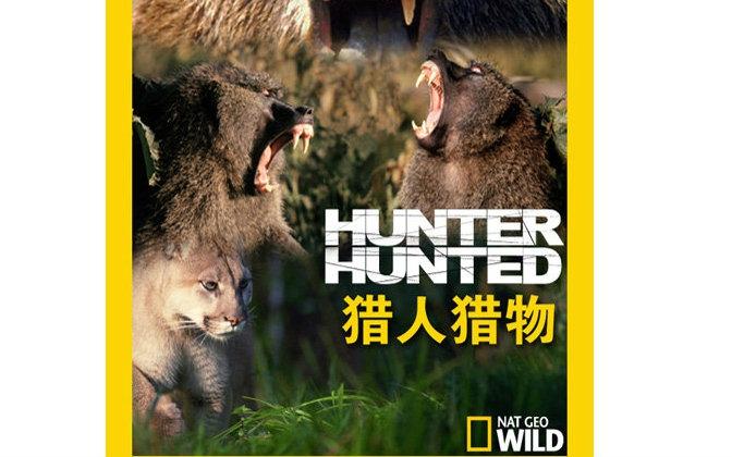 免费寰宇地理纪录片