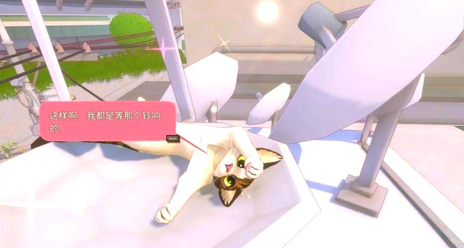 小猫咪大城市游戏
