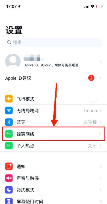 苹果手机不能使用流量什么原因