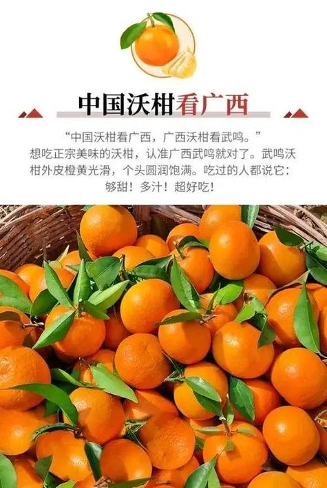 桔子的作用与功效