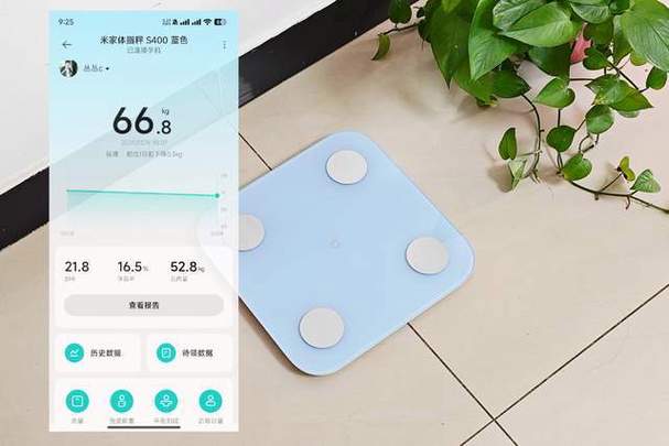 体脂秤测量数据多