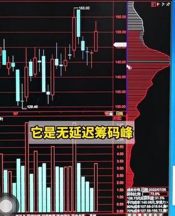 无延时筹码峰设置视频