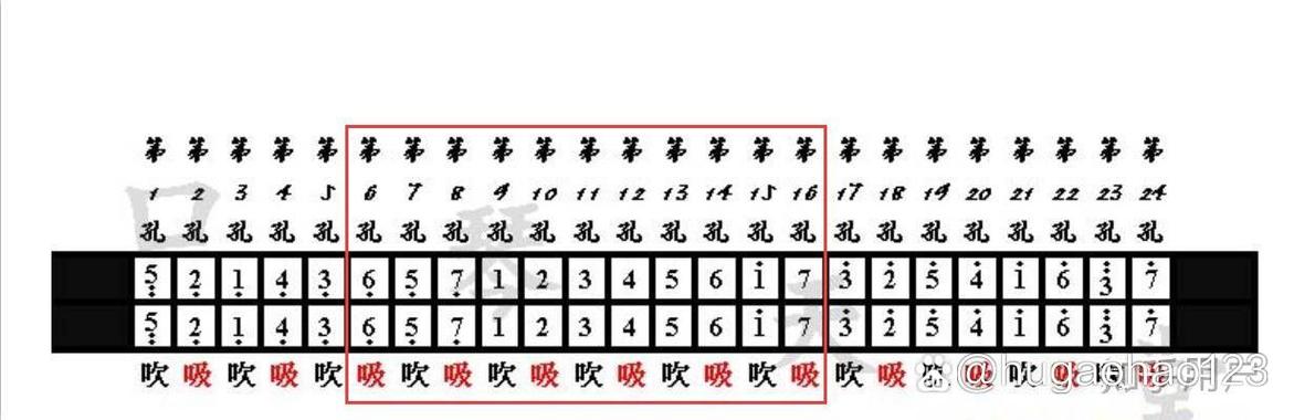 24孔口琴每个孔对应的音