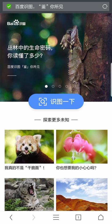 百度在线识别文字