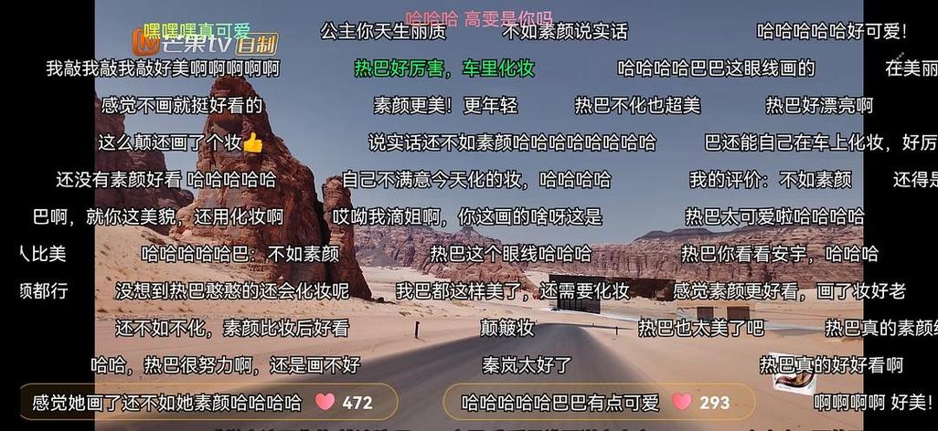 弹幕消失的原因