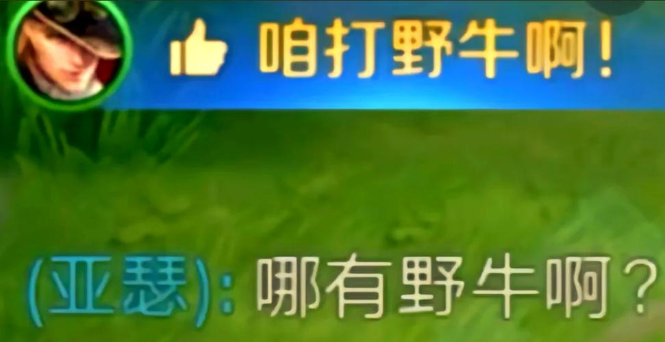 为什么打野的人只打野