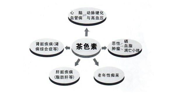 茶色素能治糖尿病吗