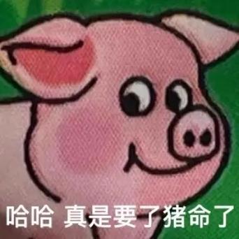微信名称备注表情猪