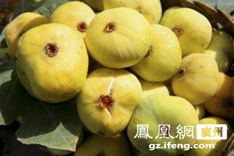 水果邦无花果