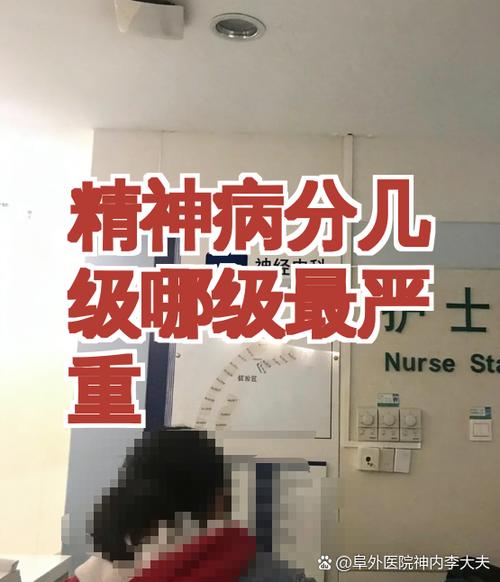 精神病分几级怎么分的