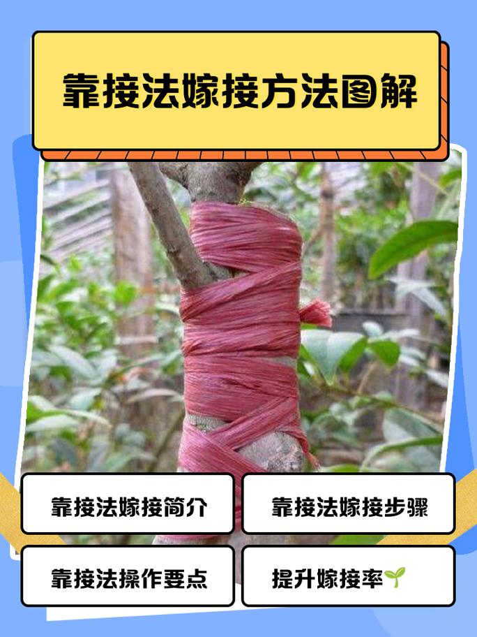 跨越爆鳞之道哪里接