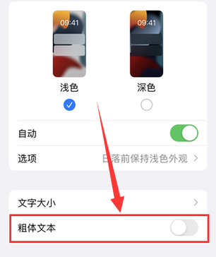 苹果app大小怎么调整