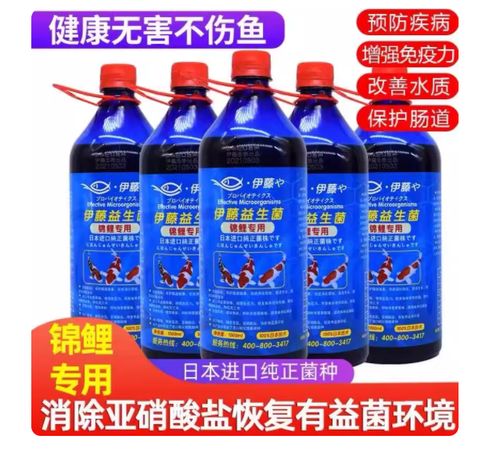 鱼用益生菌的作用与功效