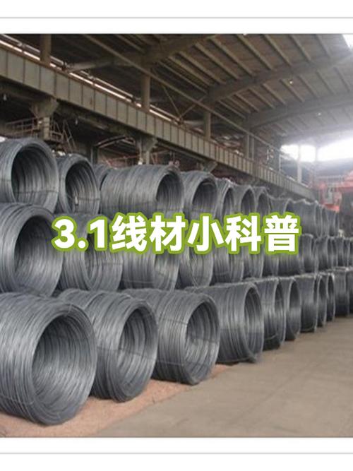 什么叫3.1线