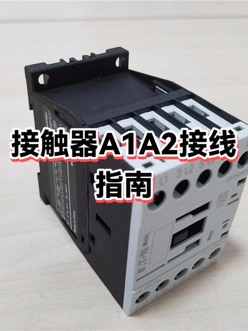 交流接触器a1a2分别接什么线
