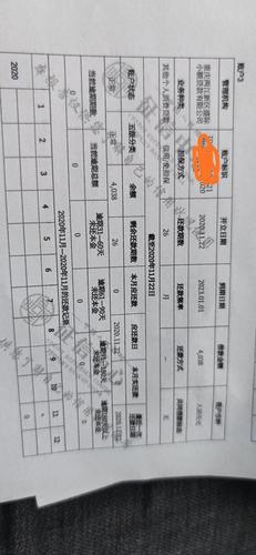 打征信白条会出来吗