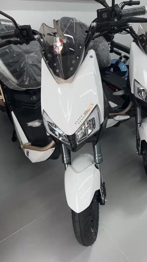 雅迪极光x5