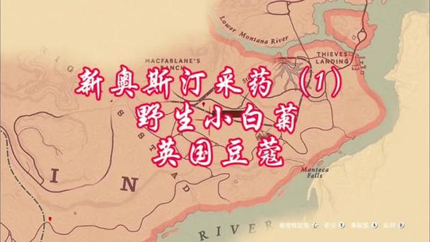 荒野大镖客2草药在哪里买