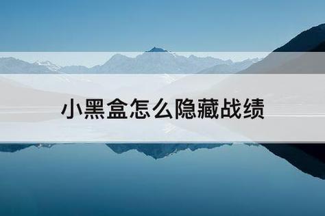 小黑盒查看隐藏战绩