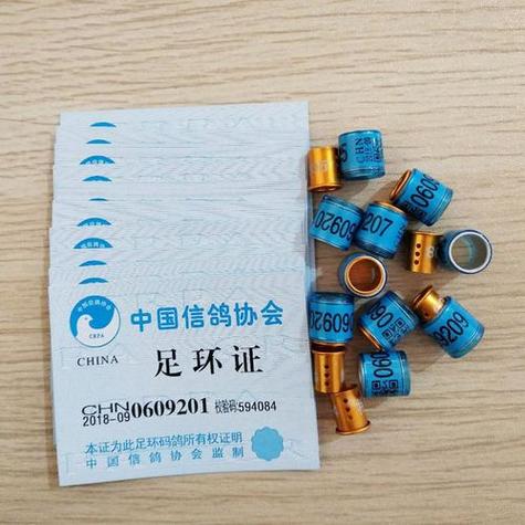 全国鸽子脚环号归属