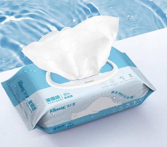 口碑最好的湿厕纸品牌