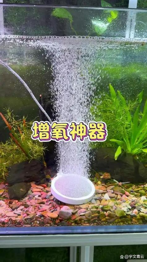 鱼缸增氧