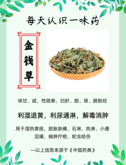 金钱草的功效与作用