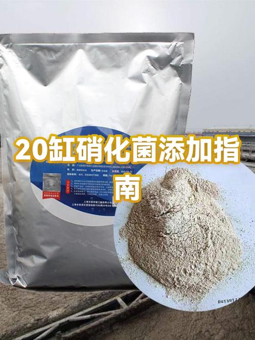 硝化细菌可以每天加吗