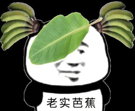 搞笑表情包下载