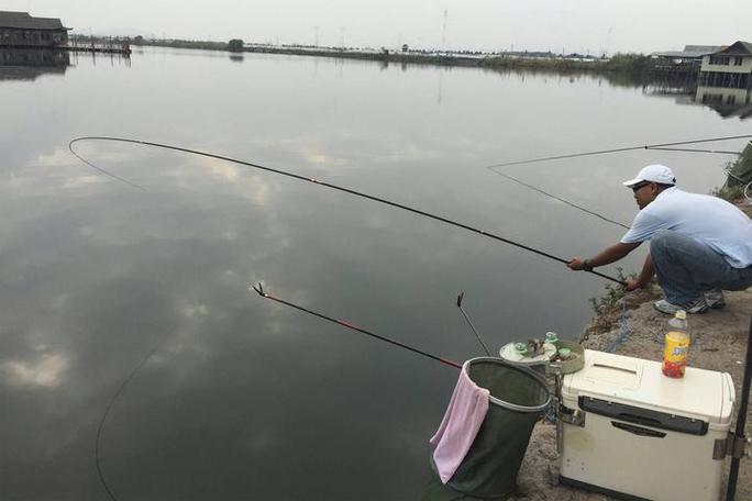 黑坑锚青鱼怎么调漂