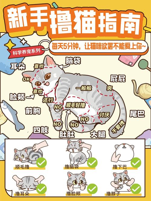 安卓萌猫激活码生成器