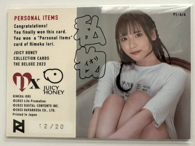 jaPaneSeQXXⅩHD100%