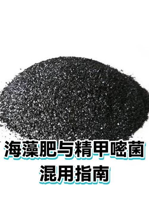 海藻精和海藻肥有什么区别