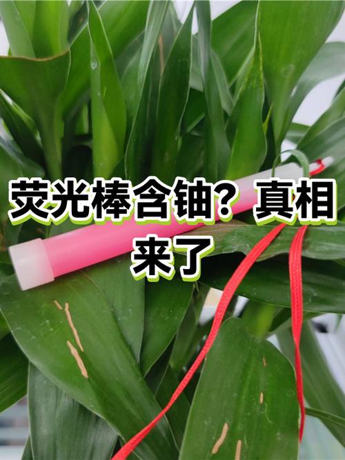 荧光棒有辐射吗
