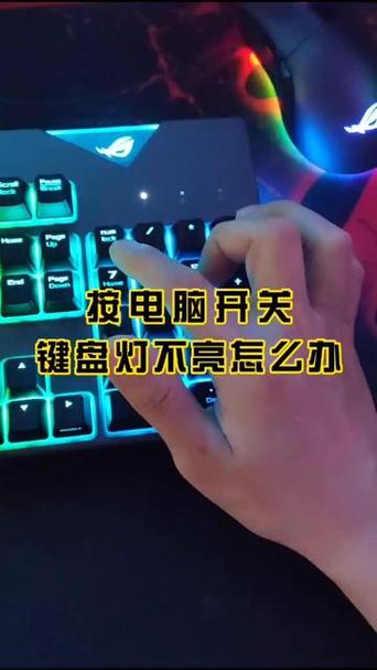 键盘num灯亮打不出字