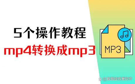 mp4怎么连接手机下载