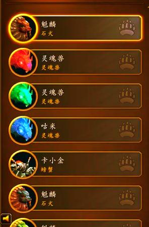 猎人的宠物排行榜