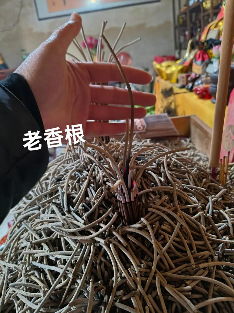 老香根找谁接是注定的吗