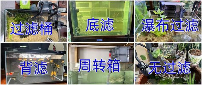 鱼缸一般多大尺寸合适