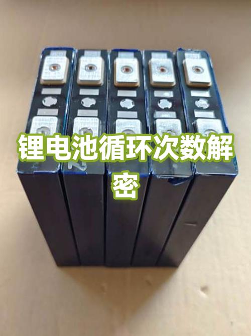 电池循环次数怎么查
