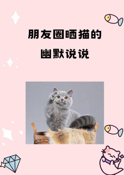 卖猫最吸引人的句子
