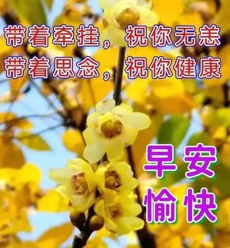 华为手机每天早上自动播报