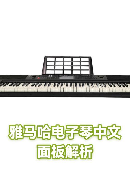 雅马哈510电子琴中文面板