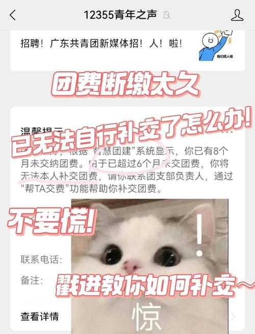 团费超过9个月如何补缴