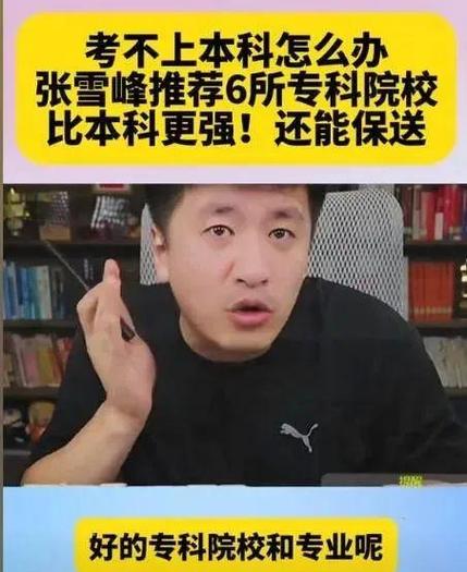 张雪峰点评布里斯托大学