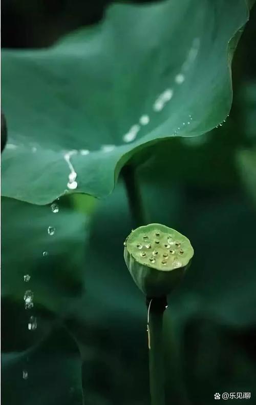 随心而至,随性而往