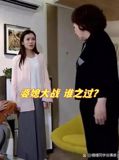 电视剧《婆媳大战》全集