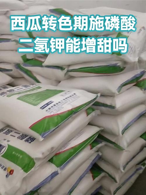 西瓜转靠谱吗