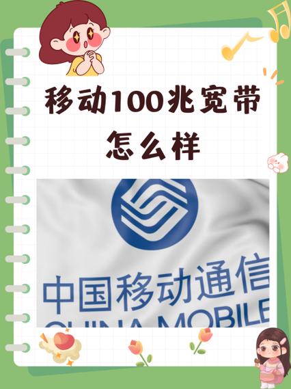 宽带100兆够用吗