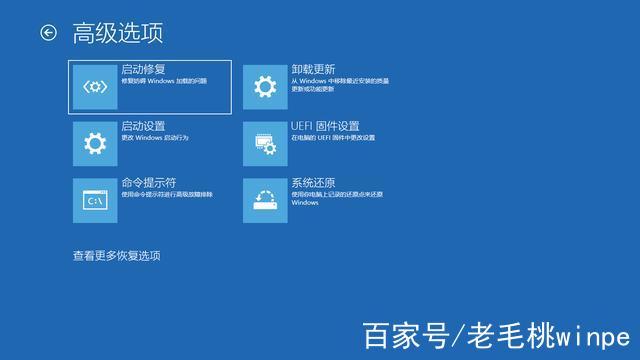 高级启动选项